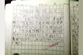 口述｜“家长不改作业要写说明”当事单亲妈：教育内卷让家庭疲惫图片