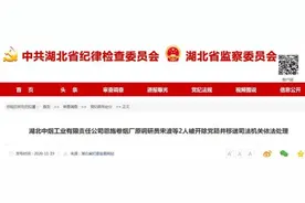 最新！4人被处分图片