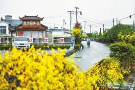 道路无言故事多图片