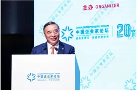 宋志平：提高上市公司质量　促进资本市场健康发展图片