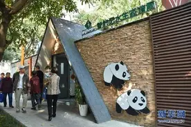 重庆“厕所革命”，捧红这些新“网红”图片