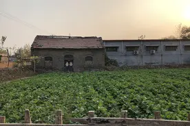 “祖业”开始收费，女性难分土地：一场“议论最广”的宅基地改革图片