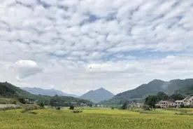这里每年第一起行政诉讼由县长出庭应诉——浙江桐庐以法治政府建设推动“依法治县”图片