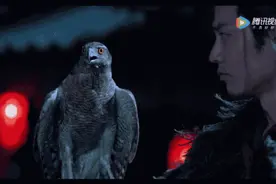 用真鹰拍摄还假称特效？《狼殿下》疑使用国家二级保护动物引争议图片