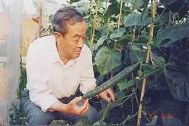 能吃上两块钱一斤的好黄瓜，国人不要忘了这位院士图片