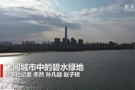 飞阅城市中的碧水绿地视频封面