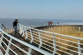 「共舞长江经济带·看高质量发展」长江沿岸“脏乱差”去哪了 看看这些新变化图片