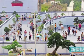 广州·花都瑞岭盆景艺术节开幕 一棵罗汉松680万竞拍成交图片