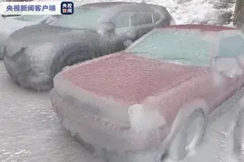 俄远东地区遭遇冻雨大风天气 多地停水断电图片