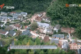 歌手黄雅莉凭啥跟着“浪姐”一起搞装修？看过她改造的别墅之后，服了……图片