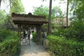 一句｜安得广厦千万间图片