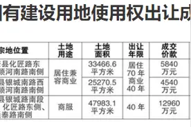 总成交价2.3亿元！周口太康县三宗160亩国有建设用地成功出让图片
