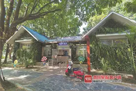 如何解决如厕难？多种途径可互补丨“世界厕所日”关注“如厕难”之举措篇图片