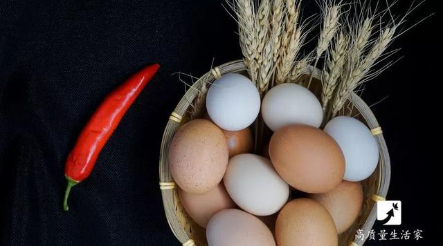 5元一斤和20元一斤的鸡蛋有什么区别？试验结果跟你想的不一样