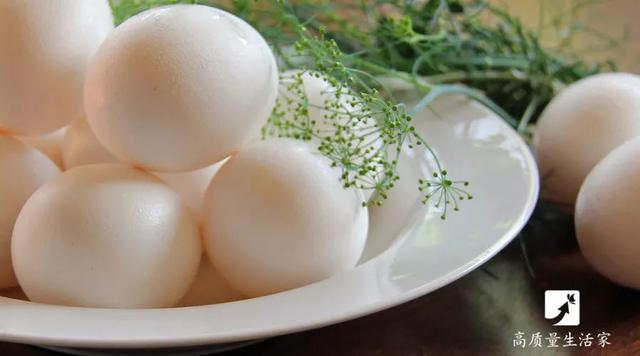 5元一斤和20元一斤的鸡蛋有什么区别？试验结果跟你想的不一样