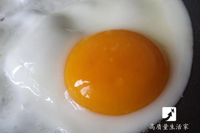 5元一斤和20元一斤的鸡蛋有什么区别？试验结果跟你想的不一样