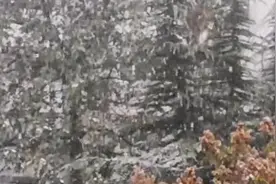 北京迎入冬首场降雪：初雪日期早于往年视频封面
