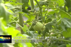 “三举措”挖潜增效，推动机关党组织全面进步全面过硬视频封面