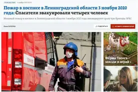 临终关怀诊所失火，一只怀孕的狗狗却为了救人，冲进火海图片