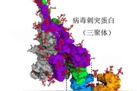 科学认识新型冠状病毒疫苗图片