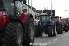 丹麦养殖者示威抗议政府杀貂图片