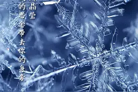 今日小雪！愿与你共白头......图片