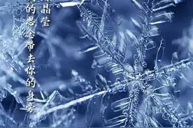 今日小雪！愿与你共白头……图片