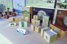 探安康 护水使者怎样用好“三十六计”图片