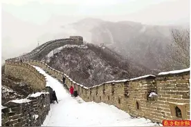 山舞银蛇图片