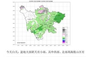 四川：有雨有雪，雪地“撒欢”的时候记得注意保暖图片