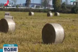 南昌县：秸秆处理新方法 绿色环保新途径视频封面