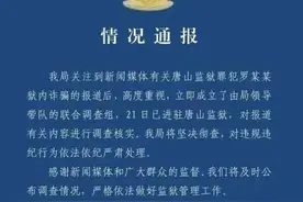 男子狱中服刑期间与单亲妈妈网恋，诈骗对方38万图片