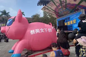 台湾“秋斗”现场民怨沸腾 街边现充气粉猪标语：蔡英文下台图片