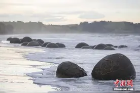 古老圆形巨石阵现身新西兰海滩 好像恐龙蛋图片