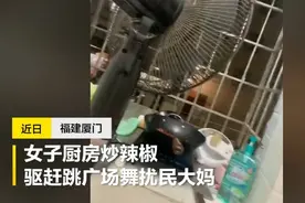 女子炒辣椒驱赶广场舞扰民大妈，网友：伤敌一千自损八百图片