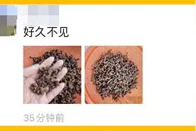 杭州姑娘晒出神秘“树枝”, 又干又丑！味道甘甜，很多人小时候都吃过图片