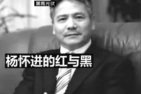 “光伏教父”杨怀进的红与黑图片