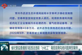 江苏省纪委监委通报3起违法违规“小化工”背后官商勾结典型案例视频封面