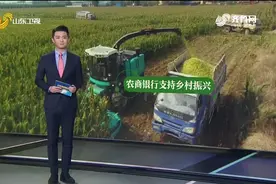 创新金融服务 山东农商银行5477亿元贷款支持乡村振兴图片