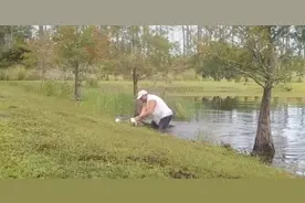 是个狠人！美国佛罗里达州一男子鳄鱼口中救出宠物狗图片