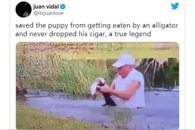 佛罗里达州一位老爷爷一边叼着雪茄一边从鳄鱼口中救出爱犬图片
