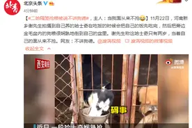 二哈隔笼抢粮被说不讲狗德，主人：当我面从来不抢图片