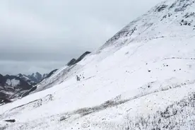 重庆开州高海拔山区迎来今冬第一场雪图片
