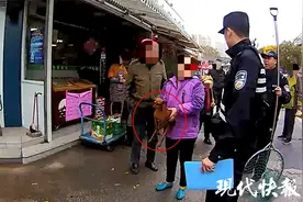 遛小鹿犬也要牵绳，扬州警方开出市区首张罚单图片