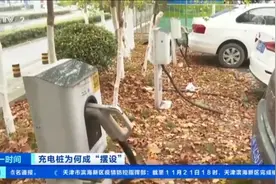 快评丨充电桩变“充电装”暴露规划与布局的不合理图片