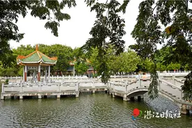 紫石山上兰馨香图片
