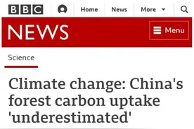 “中国的贡献被低估了！”英媒：中国植树造林的碳吸收规模令人惊讶图片