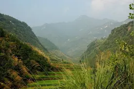 迷人的山沟（小说）图片