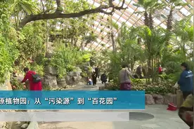 太原植物园：从“污染源”到“百花园”视频封面