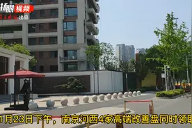 突发丨南京河西4大改善盘齐领销许最贵1套单价近9万/㎡，总价3811万图片
